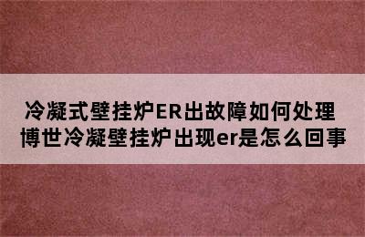 冷凝式壁挂炉ER出故障如何处理 博世冷凝壁挂炉出现er是怎么回事